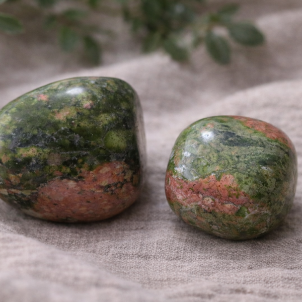 Unakite - Steady Growth